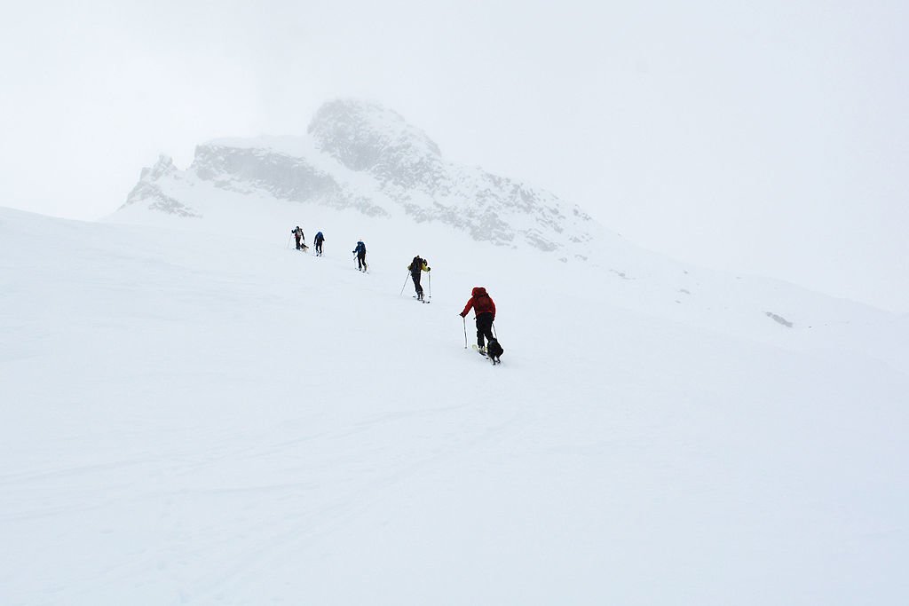 Backcountry Skiiers