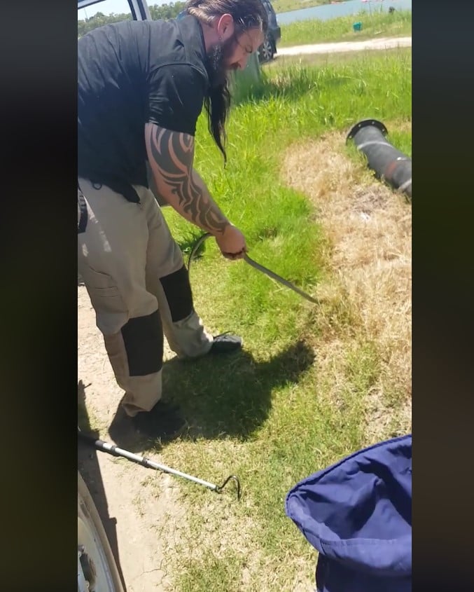 Construction Worker Finds A Snake In The Car While On The Road