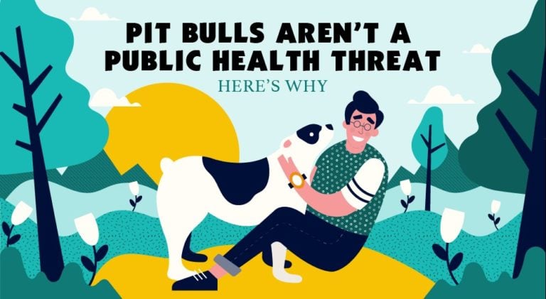 Pit-Bulls Are Not A Public Health Hazard