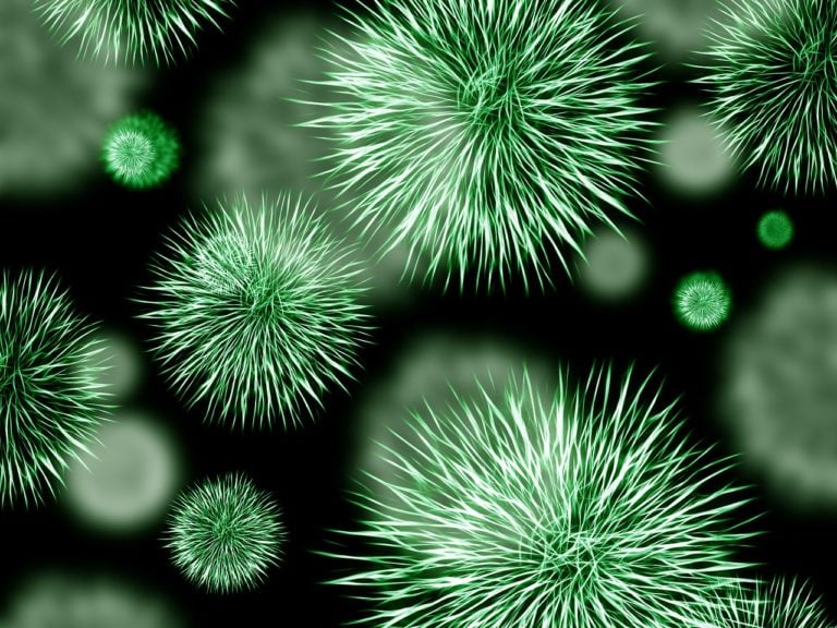 Mysterious Disease X Could Pose Danger To Millions