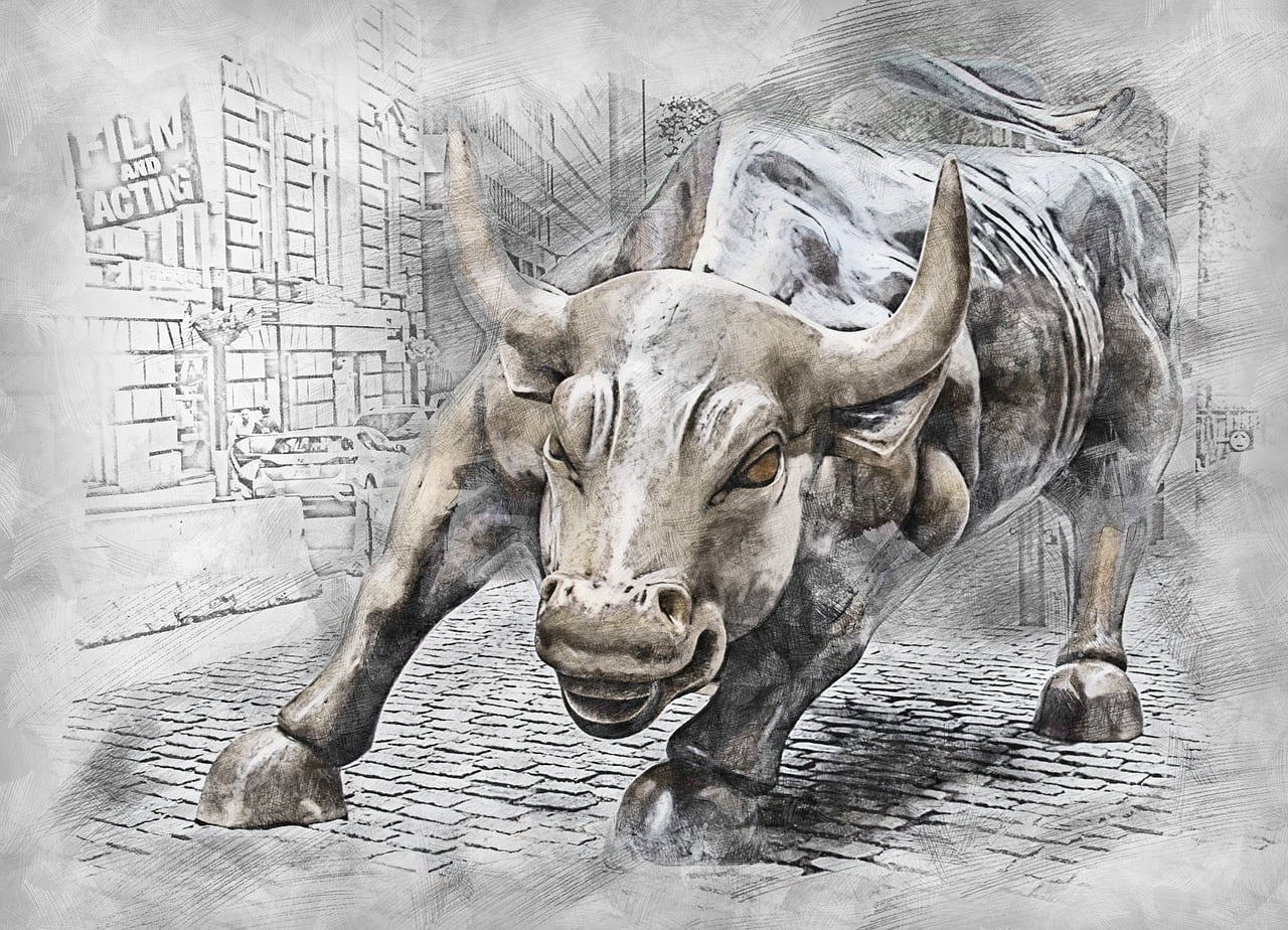 Bull Market