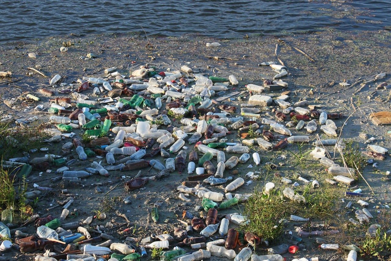 Great Pacific Garbage Patch