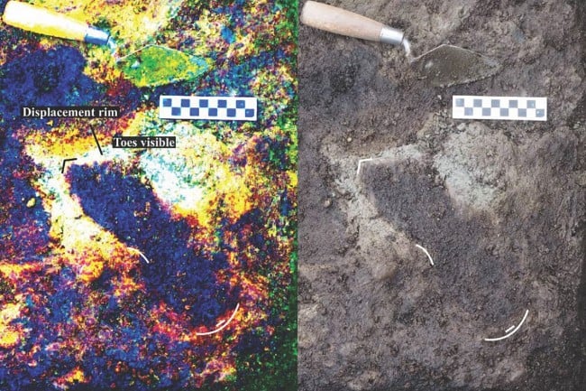 Researchers Study The Oldest Human Footprints In America