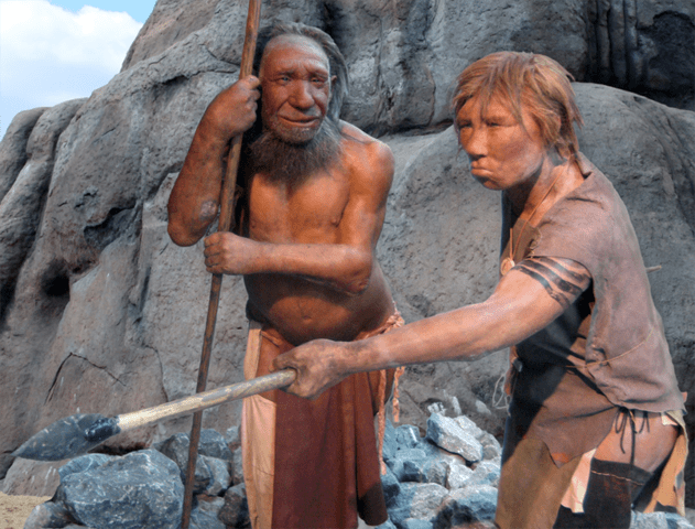 Study Suggests Modern Humans Inherited Neanderthals’ Viral Defenses