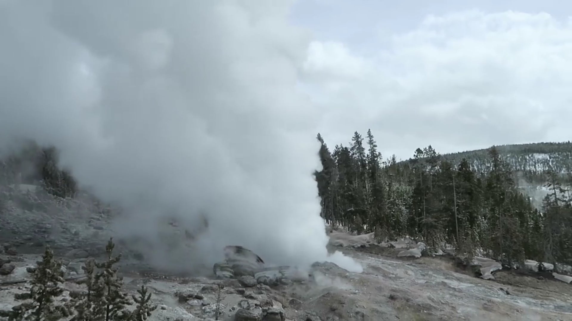 Plume Yellowstone National Park