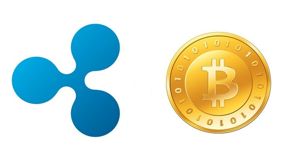 Ripple And Bitcoin Price Crash Will They Ever Recover