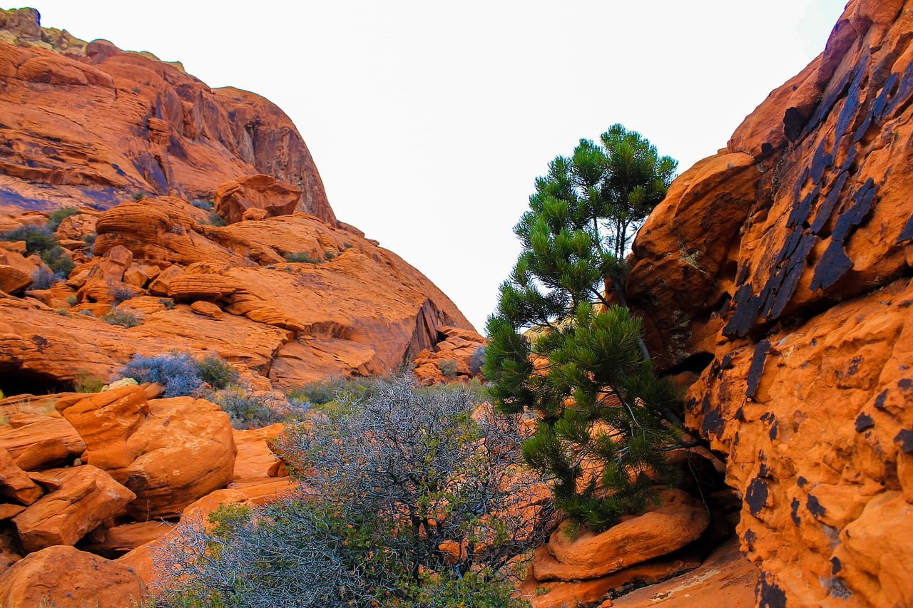 Mountain Erosion