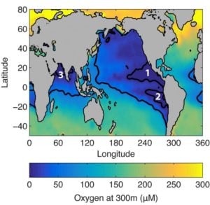 Nitrogen Cycle Global Warming