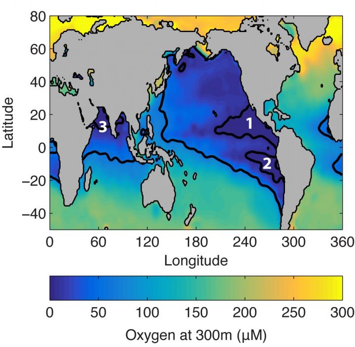 Nitrogen Cycle Global Warming