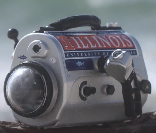 This Is A Perfect Camera To Use Underwater