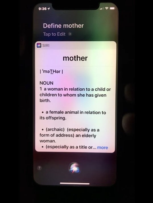 Ask Siri To ‘Define The Word Mother’ At Your Own Risk