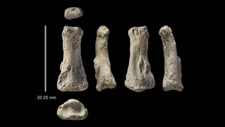 Ancient Human Finger Sheds Light On Migration