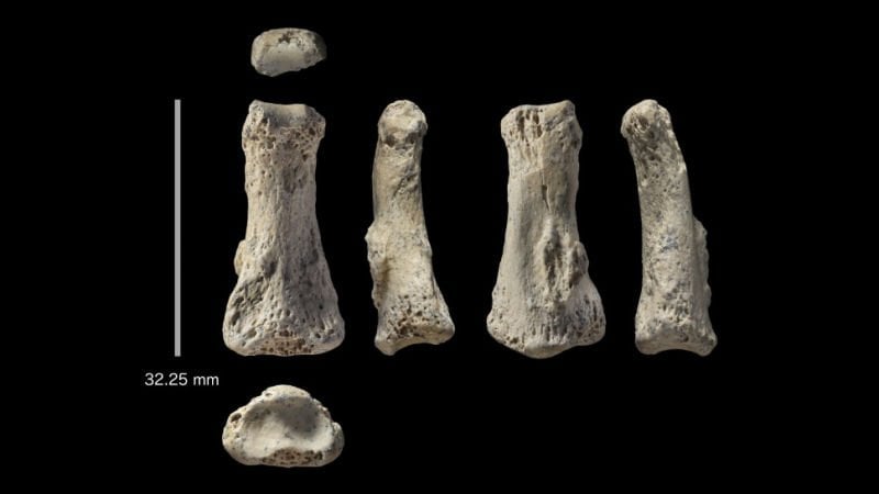 Ancient Human Finger