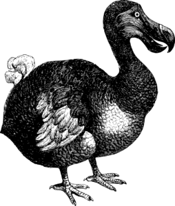 Oxford Dodo