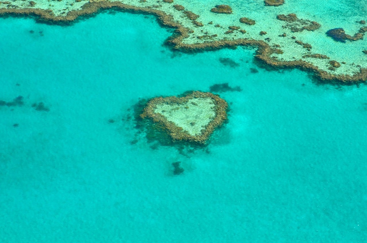 coral reefs cyclones