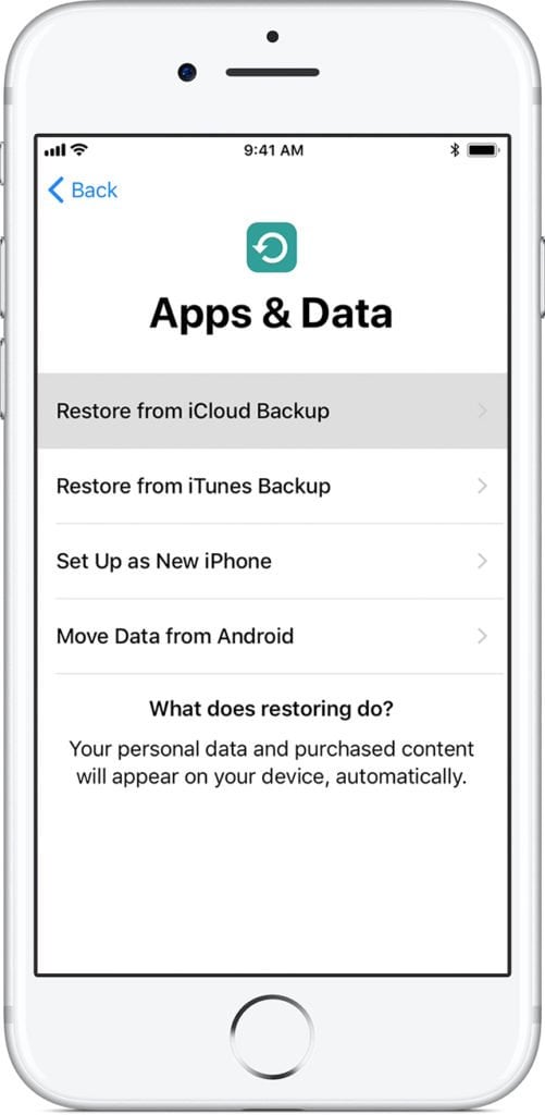 iCloud Apps And Data