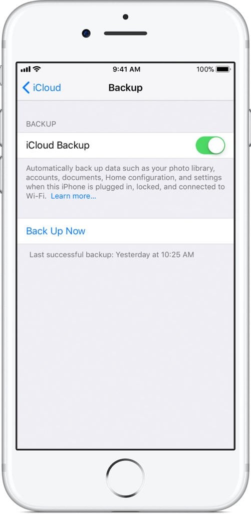 iCloud Backup