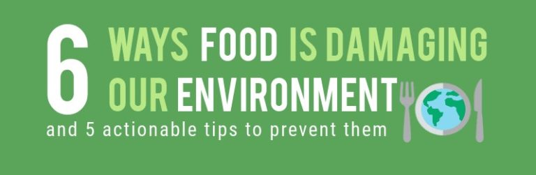 6 Ways Food Is Damaging The Environment
