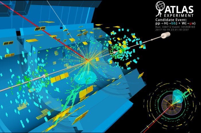 Higgs Boson Decay