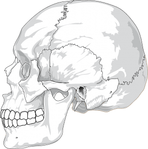 Concussion Symptoms