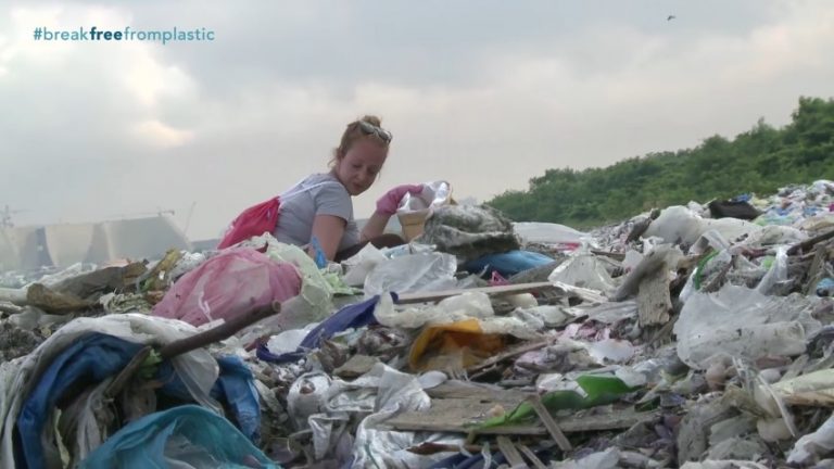Local New York Residents Come Together To Clean-Up, Audit Plastic Pollution On East River Walk