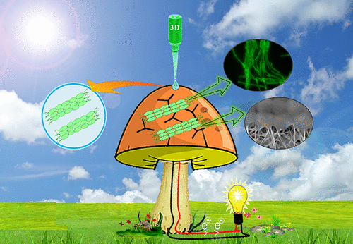 Bionic Mushroom