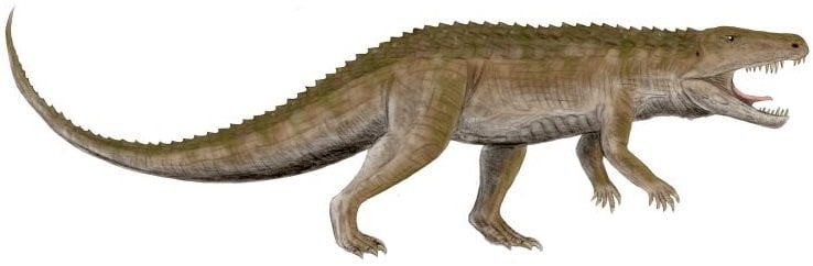 archosaur