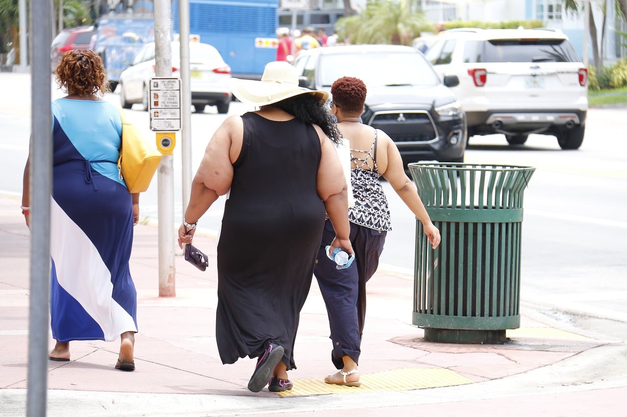 Top 10 Most Obese Countries in the World