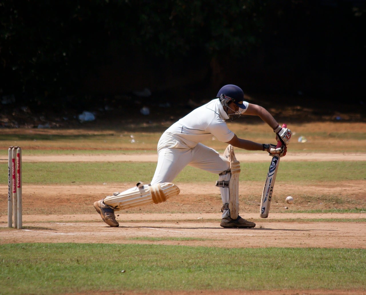 Indian Cricketers