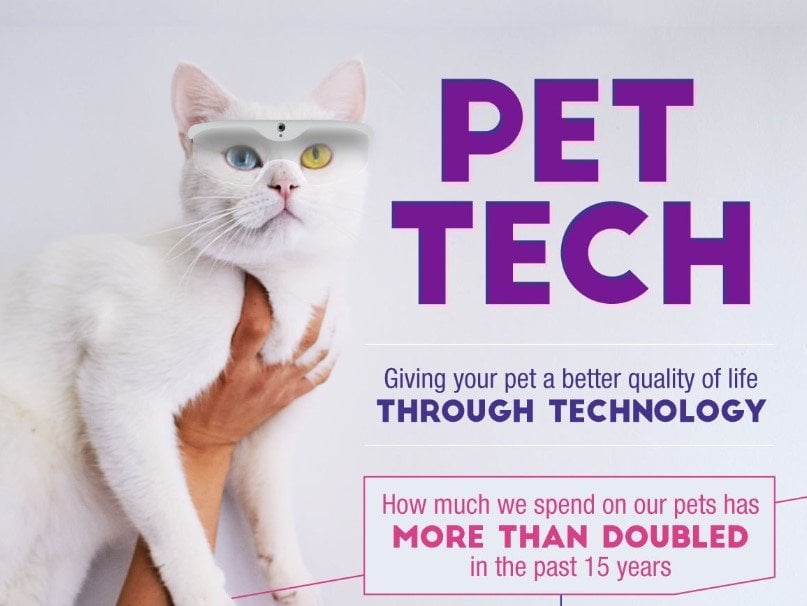 pet tech