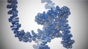 Atoms Within A Gene In DNA