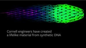 Newly-Developed Artificial Metabolism