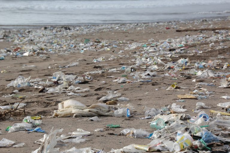 Top 10 Largest Mismanaged Plastic Waste Producing Countries