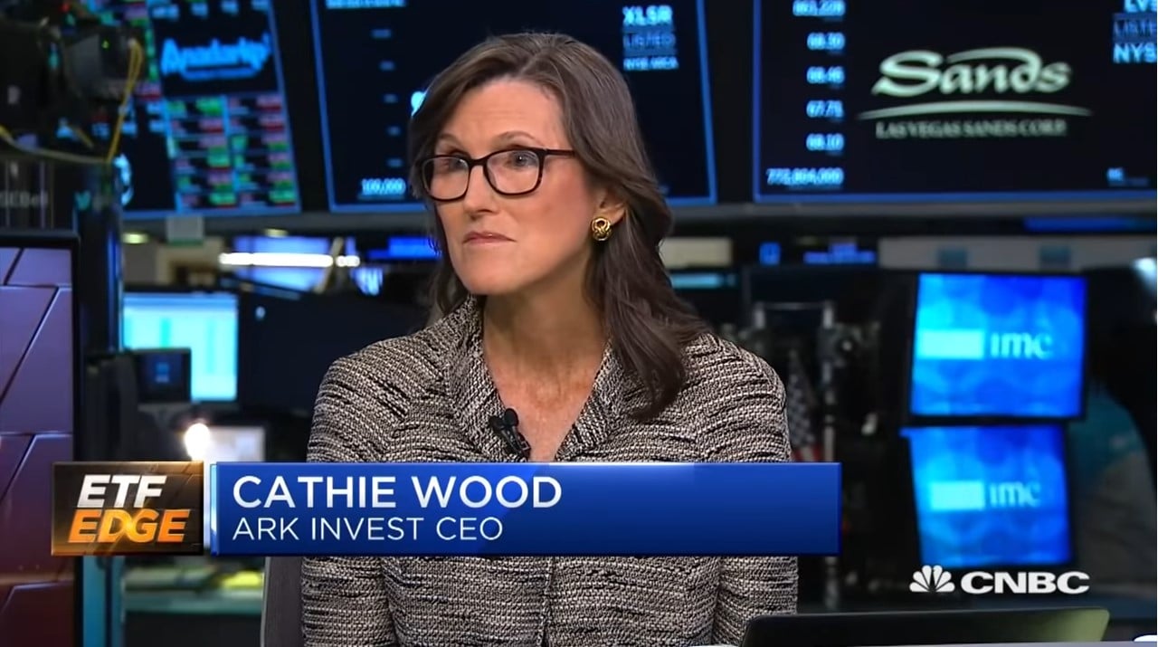 top stock holdings of Cathie Wood