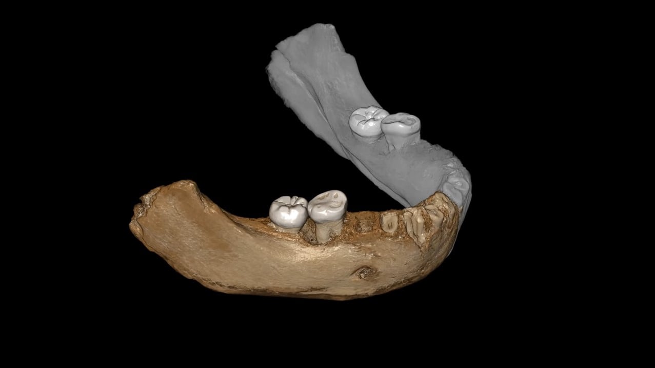 Denisovan Evidence
