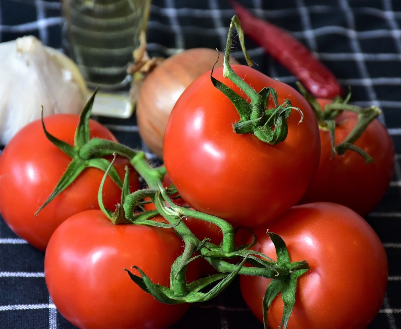 tomato pan-genome