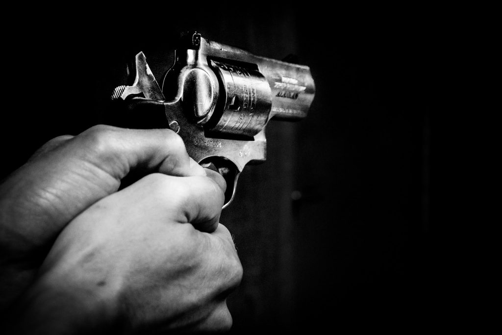 Sturm Ruger
