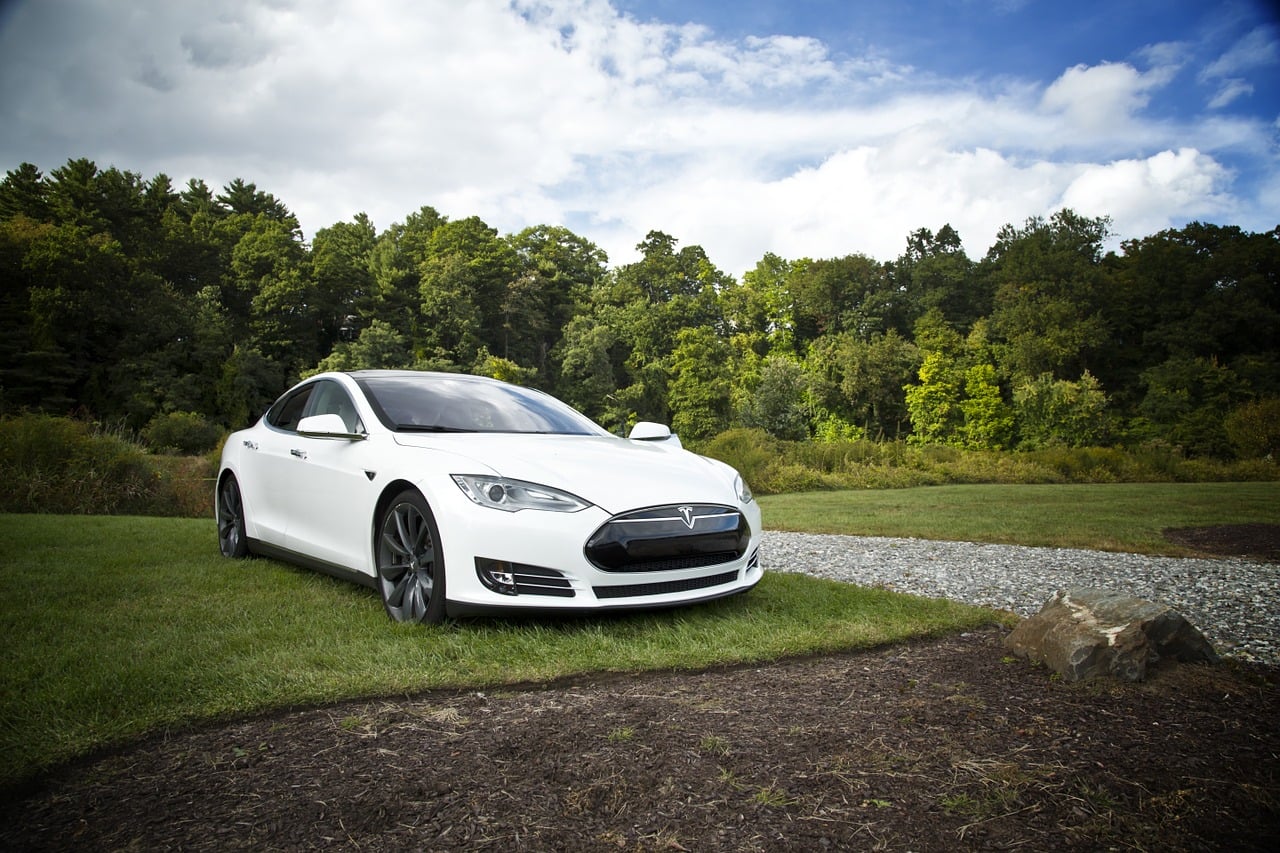 adult movie in Tesla Autopilot