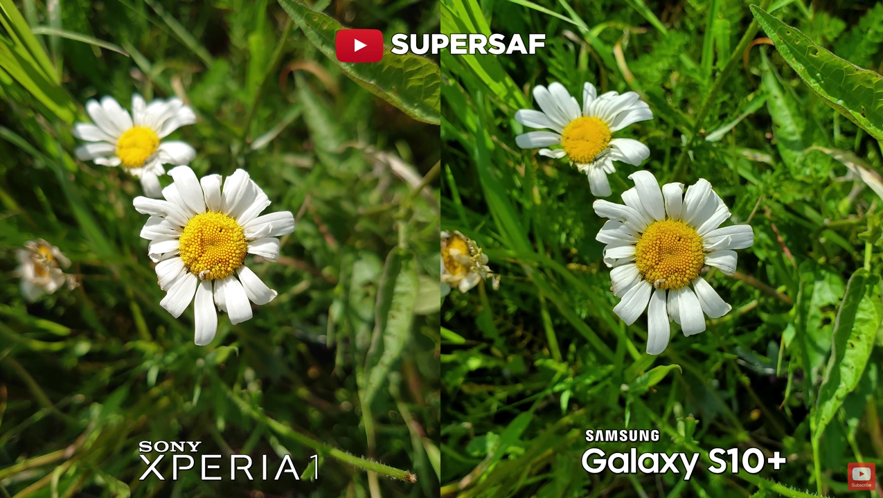 Sony Xperia 1 Vs Galaxy S10 Plus Camera Comparison