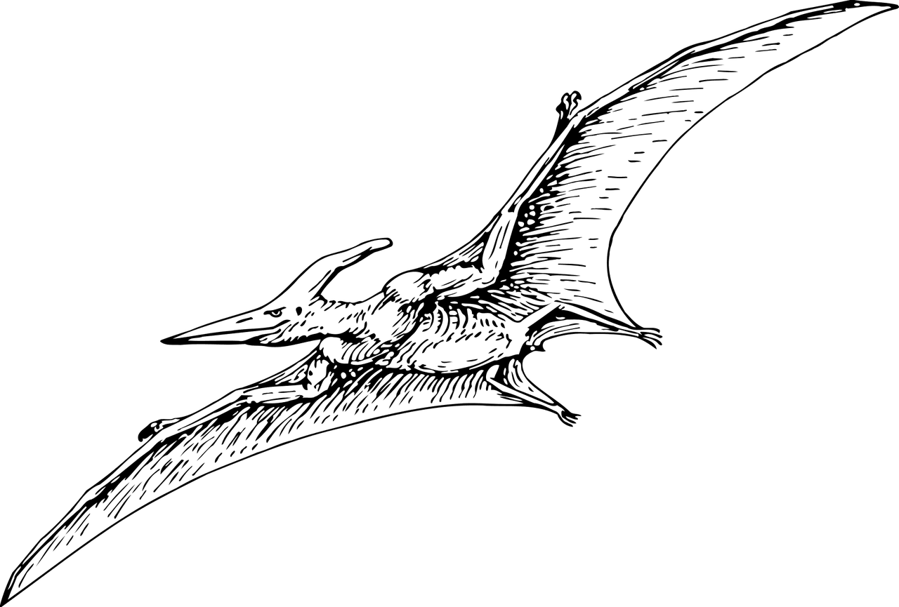Baby Pterodactyls Could Fly From Birth
