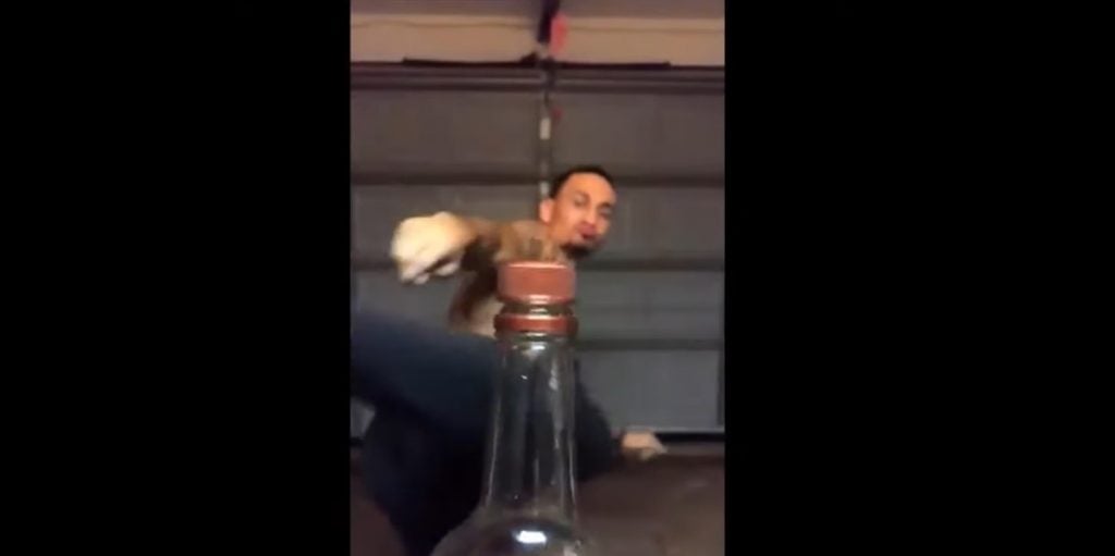 Bottle Cap Challenge