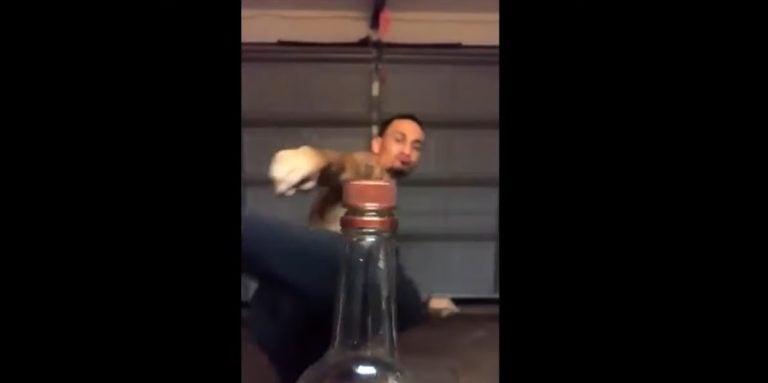 MMA Fighters Kick Off The Bottle Cap Challenge