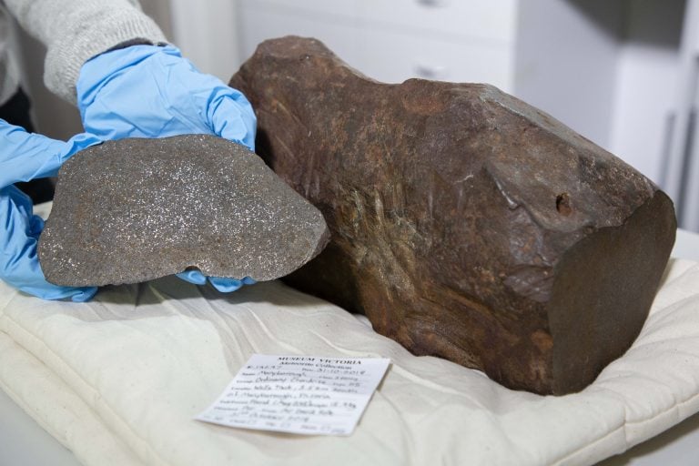 Australian Prospector Accidentally Discovers A Rare Meteorite