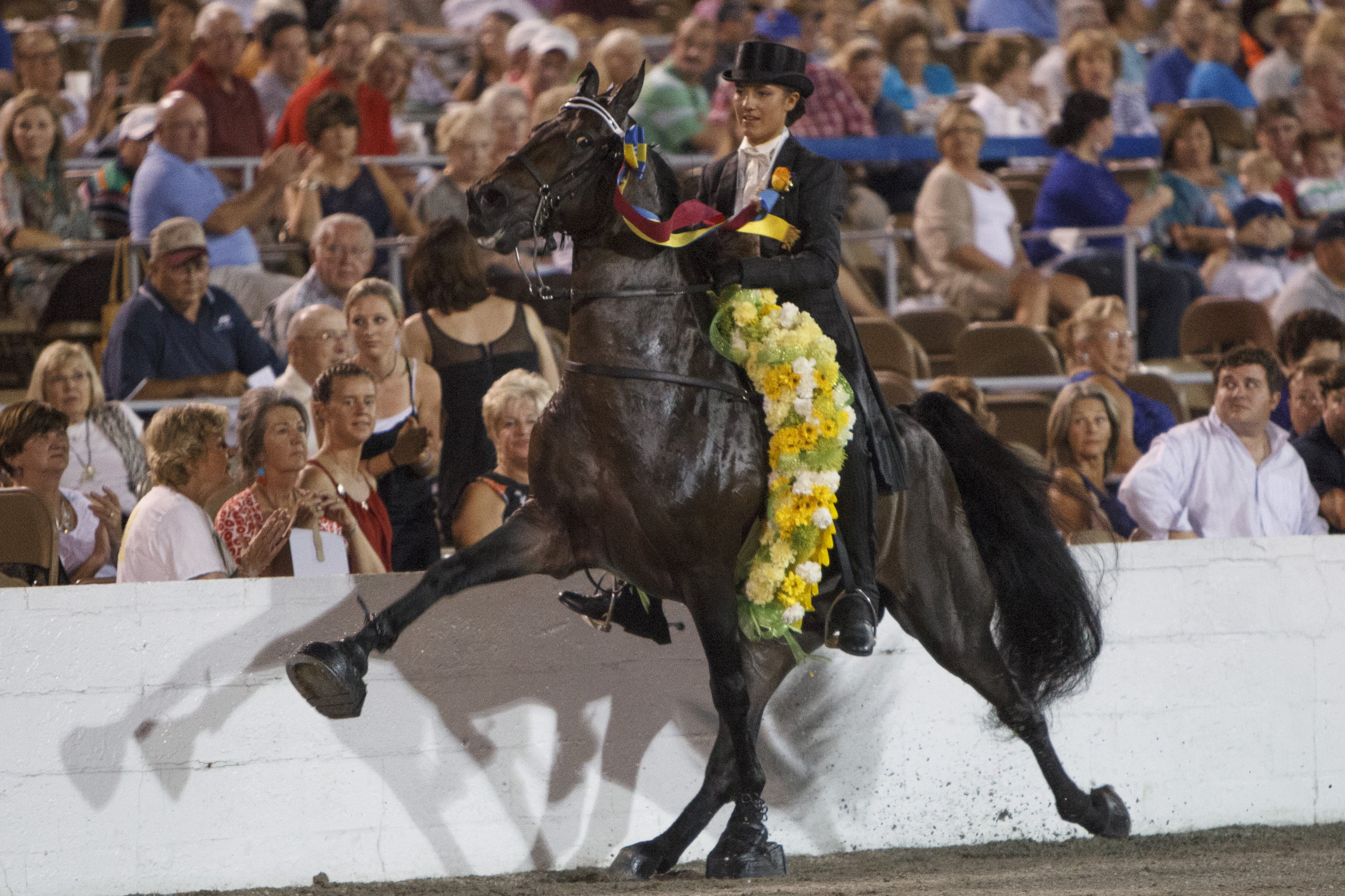 Mongolian Groom Soring Mongolian Groom's Death at The Breeders' Cup