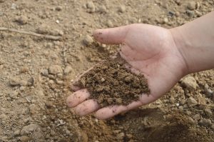 Fertilizer Canada cleanup plan to address lead
