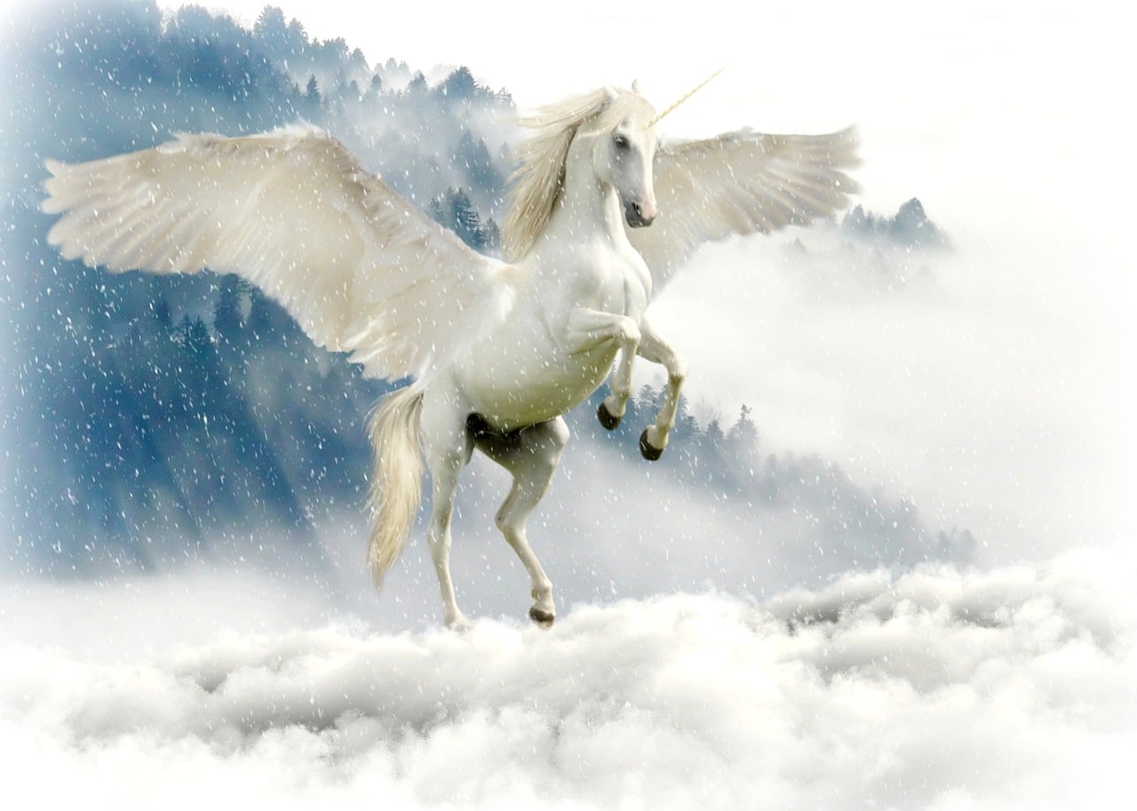 Amazon Unicorn