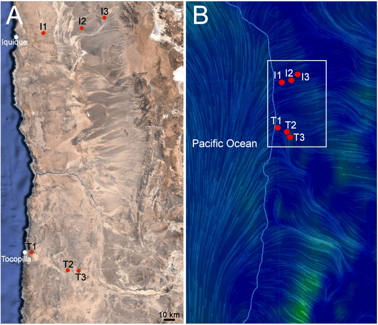 Atacama Desert Offers Insights Into Microbial Life On Mars