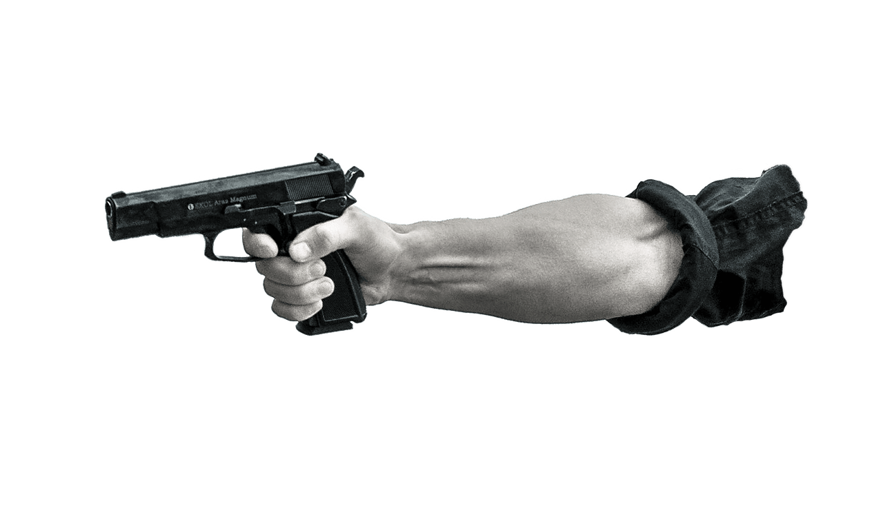 Baldwin smart gun Gun Free Funds