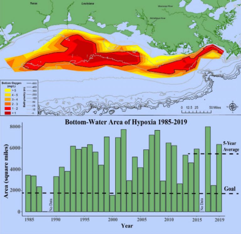Large ‘Hypoxic Zone’ Measured In Gulf Of Mexico