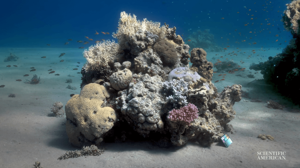 remove water from underwater photos